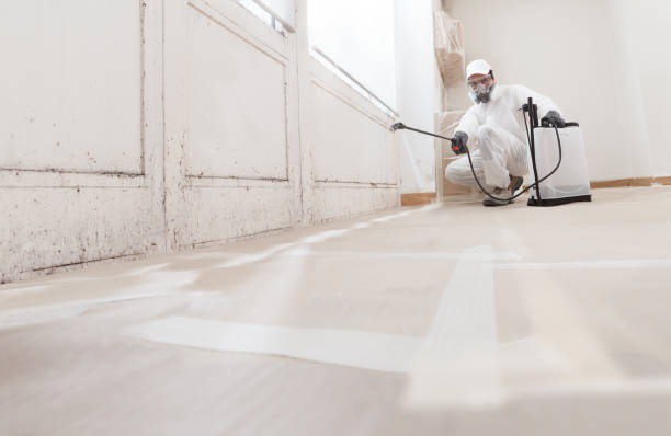 24/7 Emergency Mold Cleanup experts in Manchester, TN